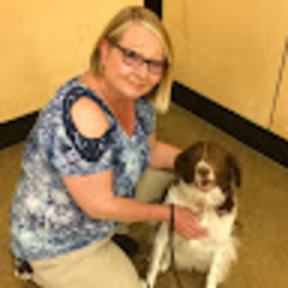 Meet your Posher, Dawn